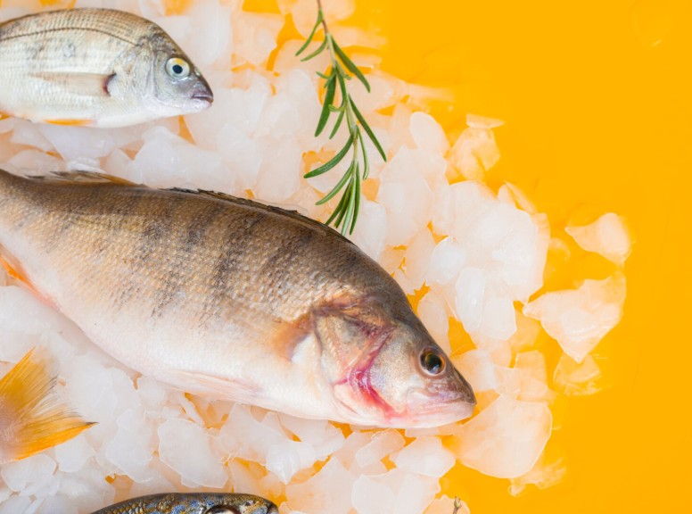 5 opções de peixe para o cardápio de páscoa do seu negócio - Blog do Mercantil Atacado